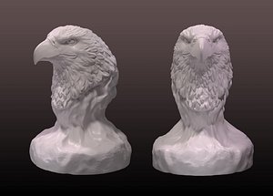 STL file Bald Eagle Head AM07 3D print model 👨‍🦲・Design to download and  3D print・Cults