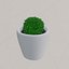 ローポリ植物