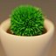 ローポリ植物