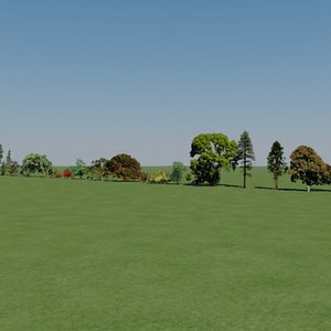 treeplanes_variety_collection