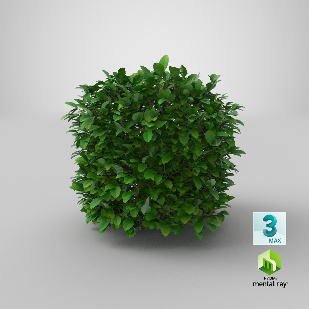 Cartoon Bush 07 3D Model - TurboSquid 1941425