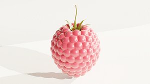 3D Raspberry model