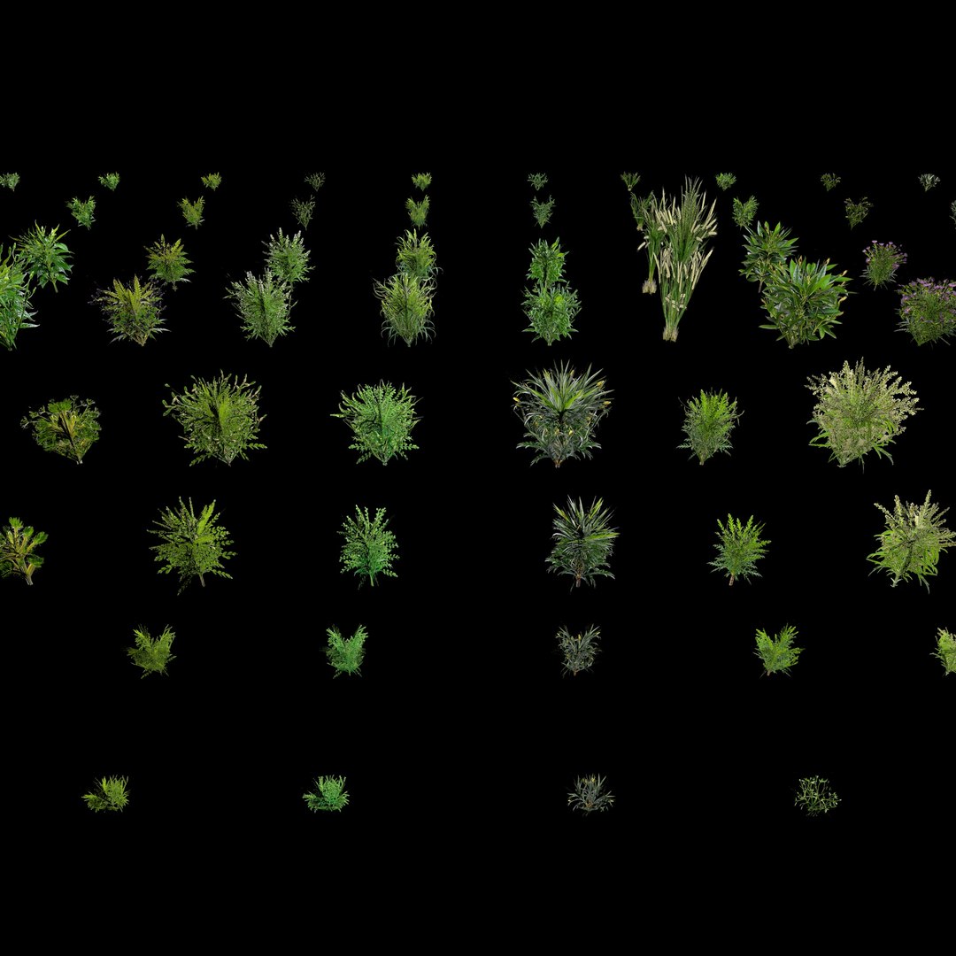 3D Valars Plant Pack model https://p.turbosquid.com/ts-thumb/PZ/NsxU53/5p/planex9/jpg/1724505702/1920x1080/fit_q87/ebfb173aab1eb06c8110cf5134164501167a8571/planex9.jpg