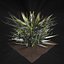 Valars 植物包