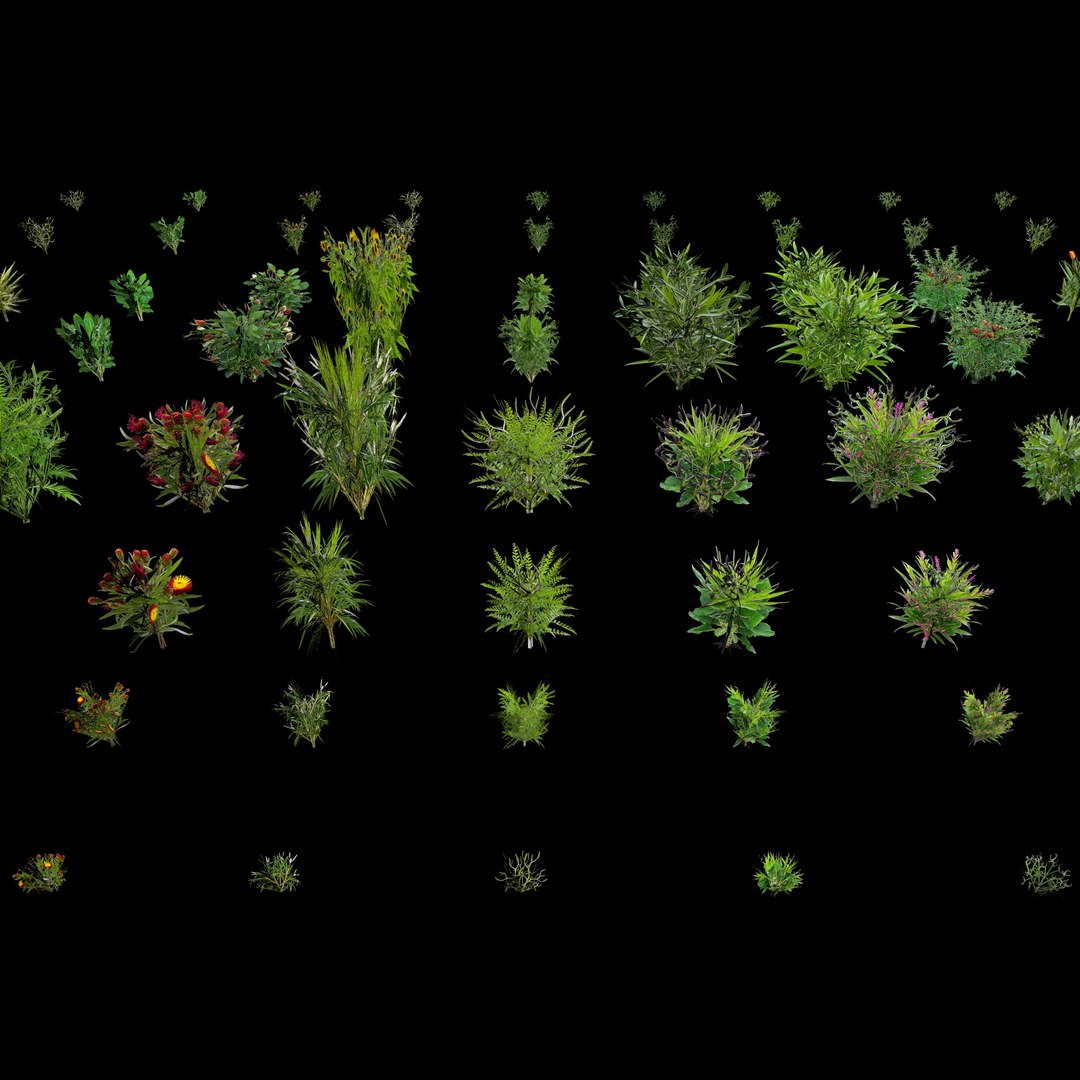 3D Valars Plant Pack model https://p.turbosquid.com/ts-thumb/PZ/NsxU53/NQ/planex13/jpg/1724505705/1920x1080/fit_q87/6374635fea683ac57e6b38f5748baaec15bd052c/planex13.jpg