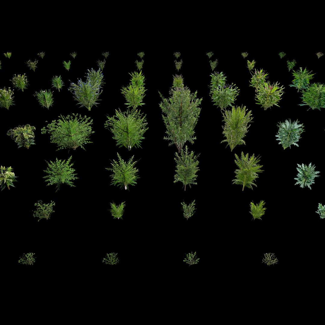 3D Valars Plant Pack model https://p.turbosquid.com/ts-thumb/PZ/NsxU53/WT/planex2/jpg/1724505699/1920x1080/fit_q87/3d217225ee844241af93a5646e7a0c09f9146adc/planex2.jpg