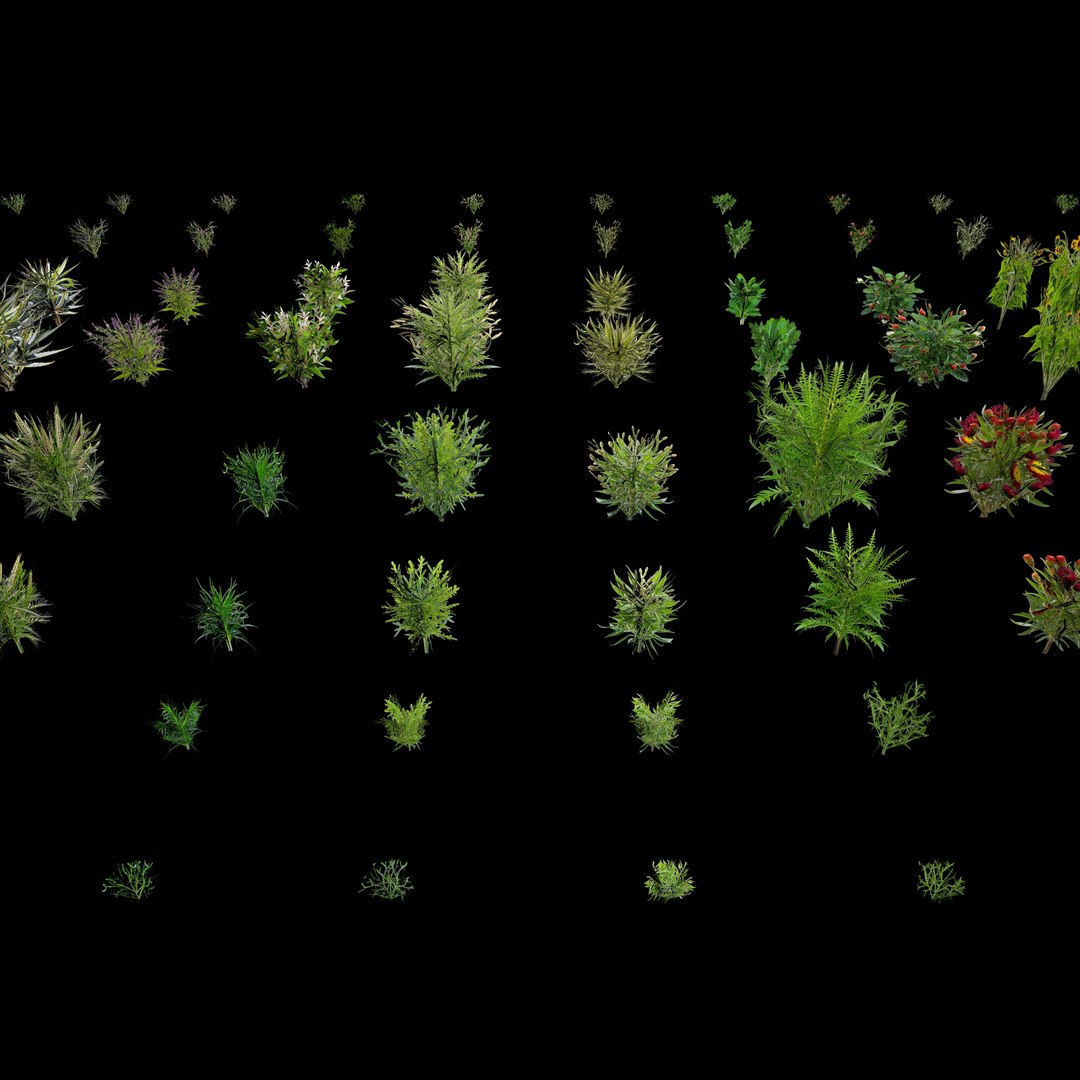 3D Valars Plant Pack model https://p.turbosquid.com/ts-thumb/PZ/NsxU53/Wj/planex12/jpg/1724505703/1920x1080/fit_q87/c1a8358c05286c05febf330208402925db05b152/planex12.jpg