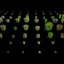 Valars 植物包