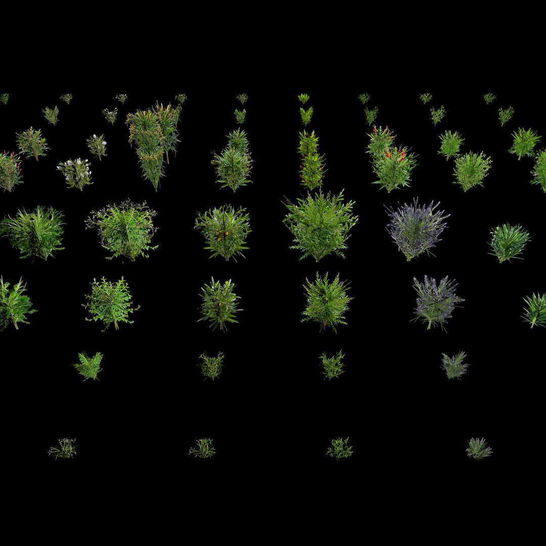 3D Valars Plant Pack model https://p.turbosquid.com/ts-thumb/PZ/NsxU53/aL/planex4/jpg/1724505699/1920x1080/fit_q87/a4dfbc4ad969421c3bf962fc02e3522c812e1ab2/planex4.jpg