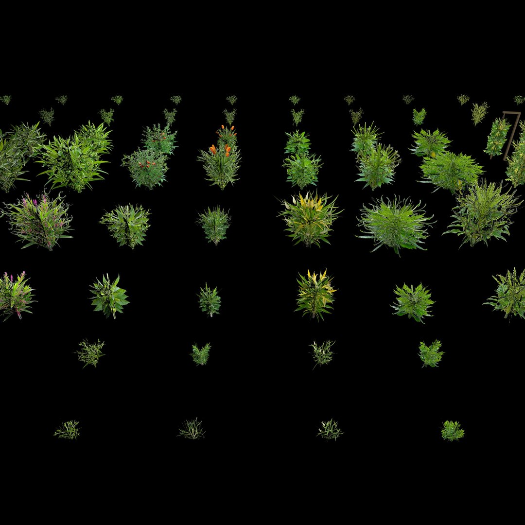 3D Valars Plant Pack model https://p.turbosquid.com/ts-thumb/PZ/NsxU53/p9/planex14/jpg/1724505705/1920x1080/fit_q87/63ac599f87391df0caa4e734d6fa25340473205a/planex14.jpg