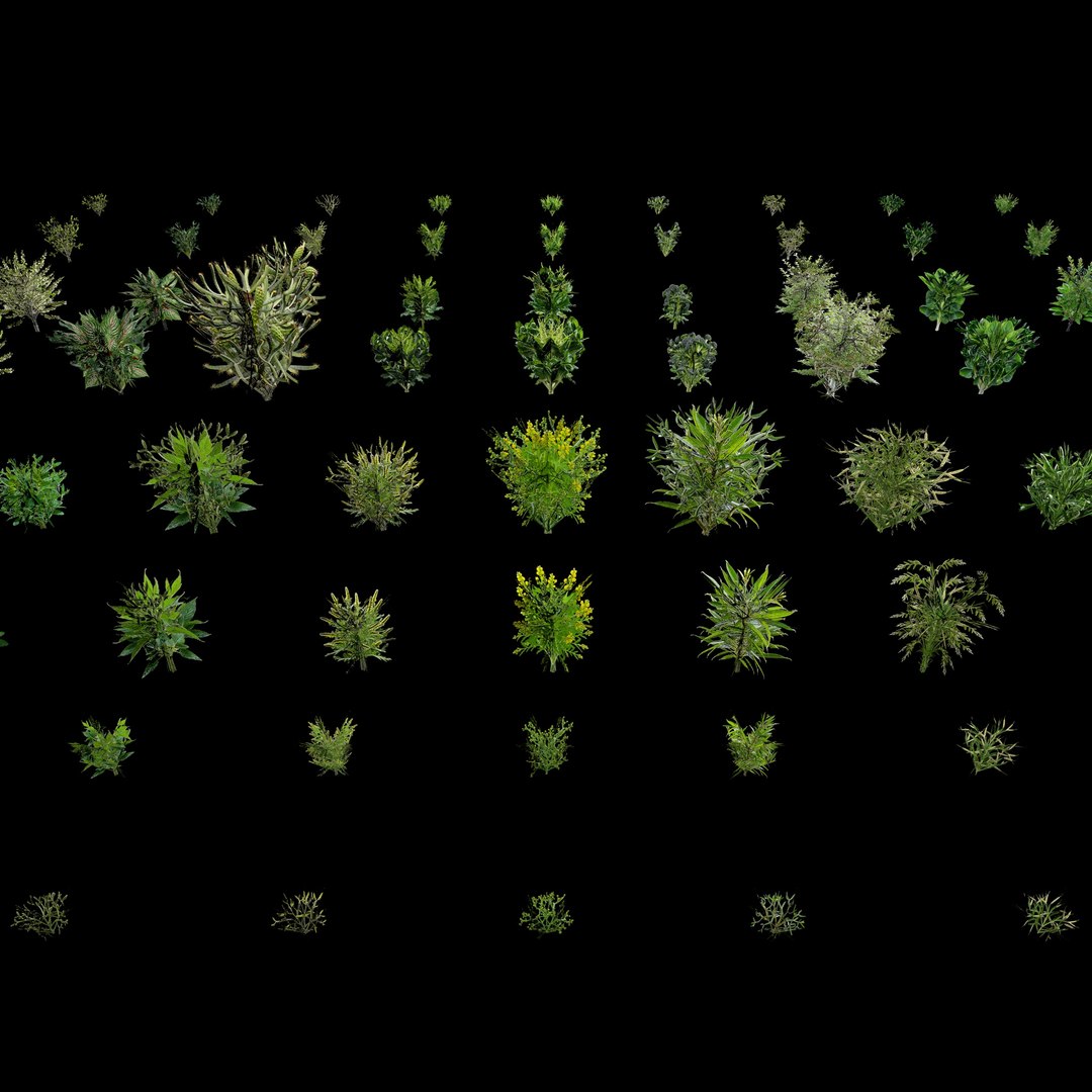 3D Valars Plant Pack model https://p.turbosquid.com/ts-thumb/PZ/NsxU53/qn/planex7/jpg/1724505701/1920x1080/fit_q87/0a08afc114393f61b85d0d133605db603dd7e198/planex7.jpg