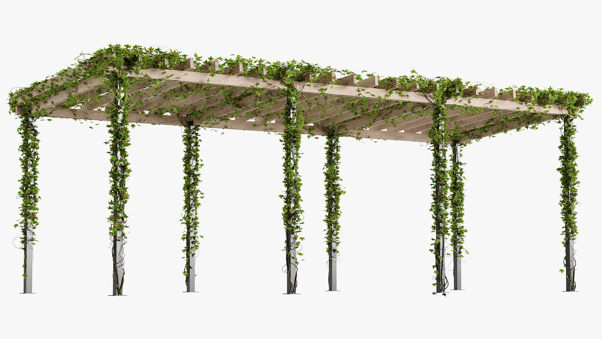 Pergola with Ivy v10 3D model TurboSquid 2044202