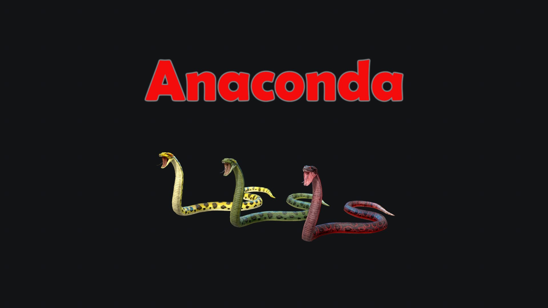 3D Anaconda Animation - TurboSquid 2006289