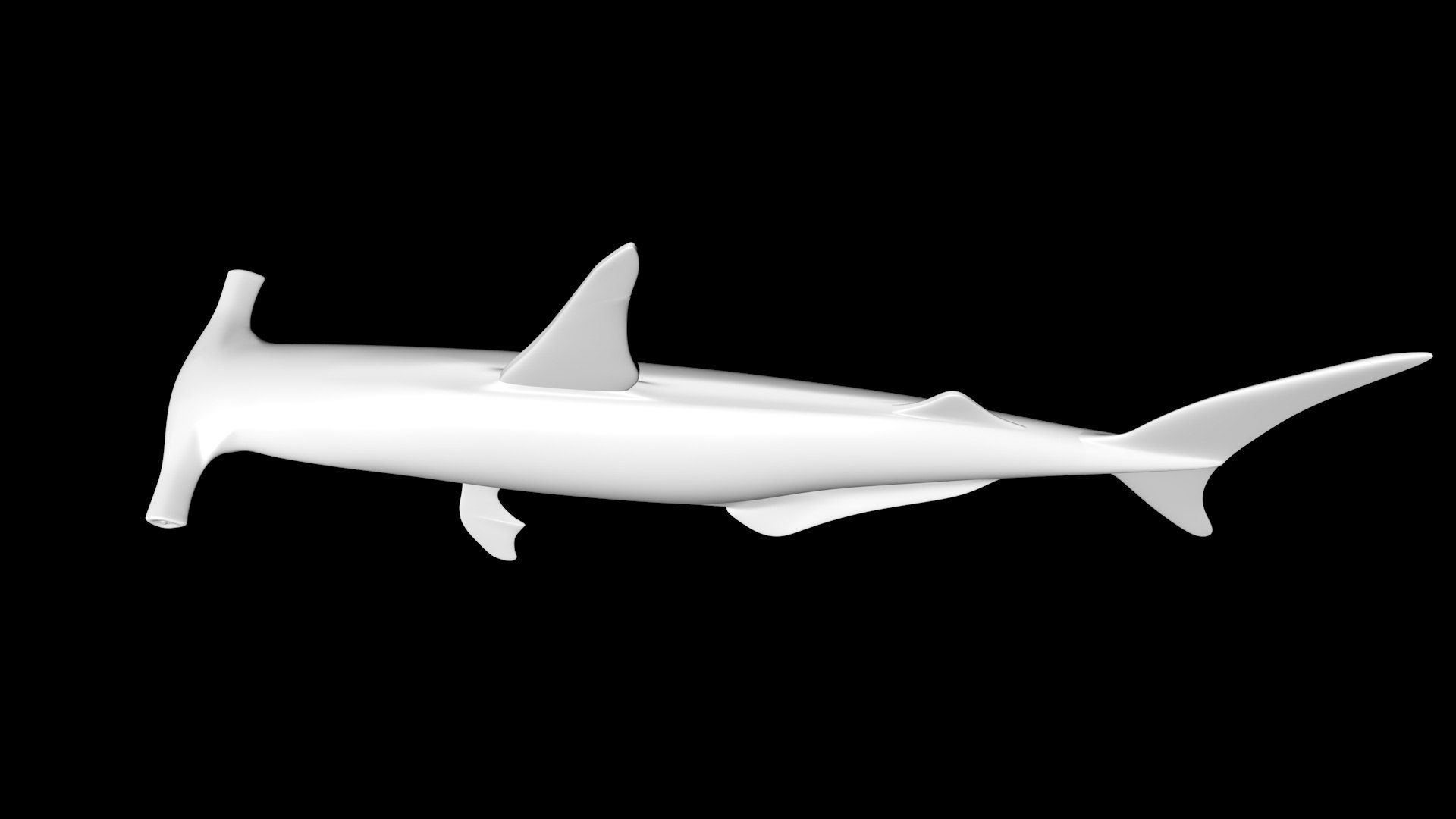 3D model hammerhead shark https://p.turbosquid.com/ts-thumb/PZ/en3RjS/fb/4/jpg/1612861000/1920x1080/fit_q87/03ee194650d126836eeb86971d32d15d3edac1de/4.jpg