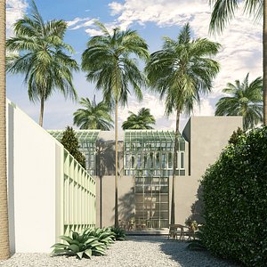 3D coconut palm model