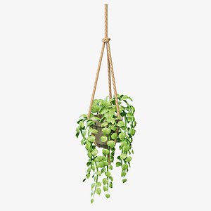 Stylized House Plant 27 3D
