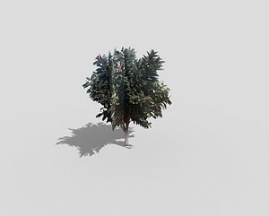 3d model tree