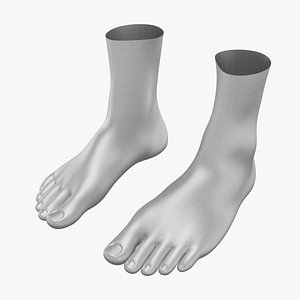 Human Feet In Standing Position Base Mesh