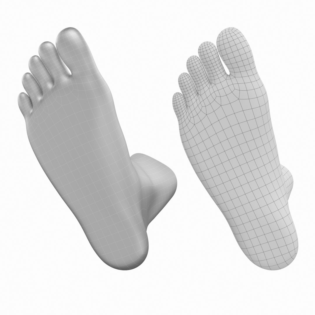 Human Feet In Standing Position Base Mesh Model TurboSquid 2156412