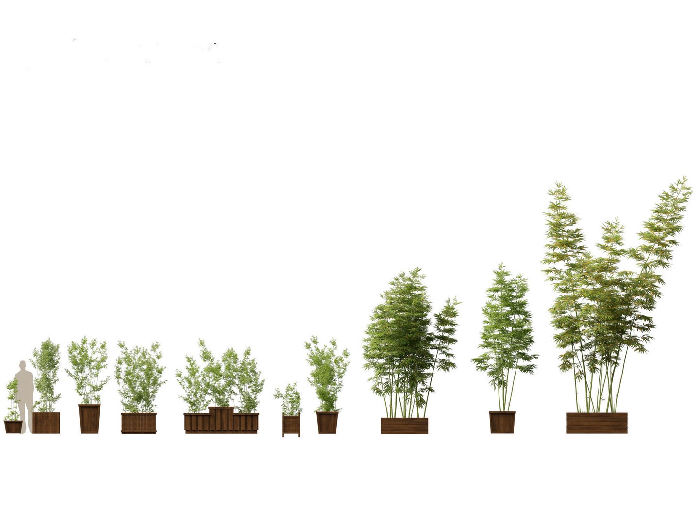Large Potted Greenery Pack 40 3D https://p.turbosquid.com/ts-thumb/Pa/SLw5Db/88/bambusaboniopsi8/jpg/1760061502/1920x1080/fit_q87/21c2d86476a12dbdcf75609ccac53324d923d033/bambusaboniopsi8.jpg