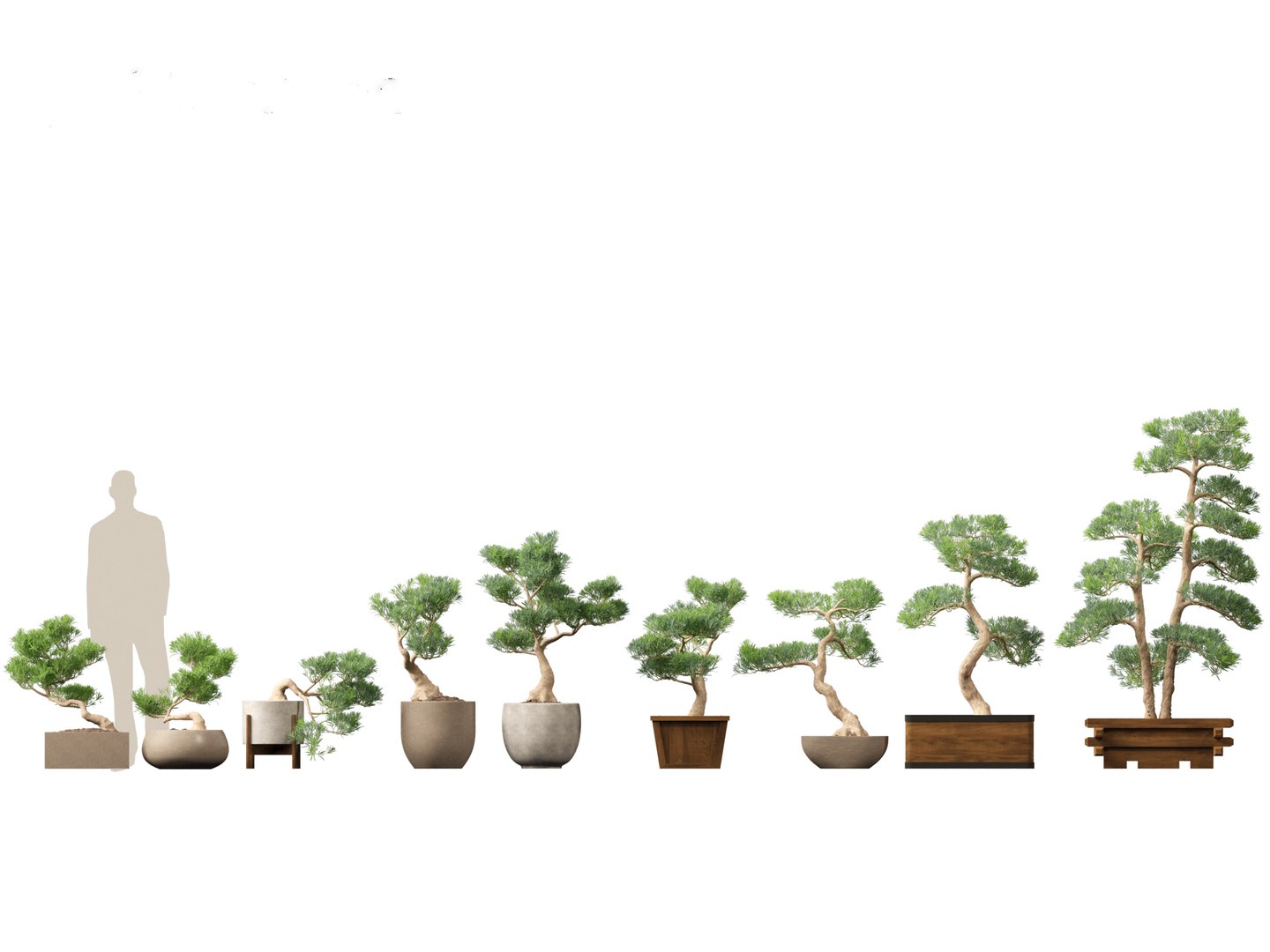 Large Potted Greenery Pack 40 3D https://p.turbosquid.com/ts-thumb/Pa/SLw5Db/eP/podocarpusmacrophyllus001/jpg/1760061549/1920x1080/fit_q87/e213c4188e661719aa4817bddbbacb308da8c1b9/podocarpusmacrophyllus001.jpg