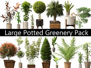 Large Potted Greenery Pack 40 3D