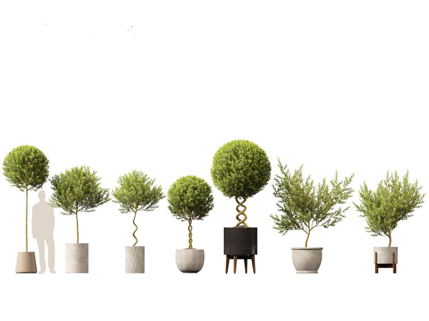 Large Potted Greenery Pack 40 3D https://p.turbosquid.com/ts-thumb/Pa/SLw5Db/fJ/laurusnobilis011/jpg/1760061524/1920x1080/fit_q87/d72c97442aa1977641dedaba34df0164173891b1/laurusnobilis011.jpg