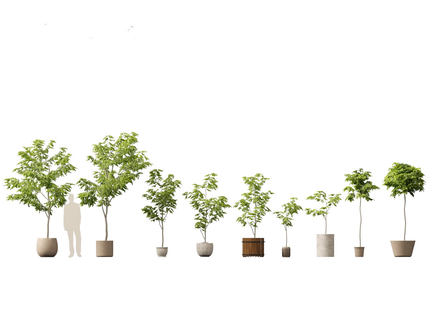 Large Potted Greenery Pack 40 3D https://p.turbosquid.com/ts-thumb/Pa/SLw5Db/h9/robiniapseudoacacia041/jpg/1760061552/1920x1080/fit_q87/b15278a43ac0d792b7890945561c000857b68e55/robiniapseudoacacia041.jpg