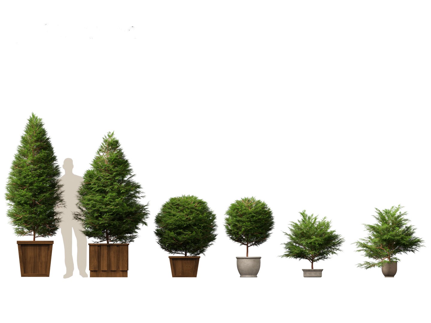Large Potted Greenery Pack 40 3D https://p.turbosquid.com/ts-thumb/Pa/SLw5Db/kc/chamaecyparisobtusa_021/jpg/1760061508/1920x1080/fit_q87/ca54e2113ce3d76d8920241a6d7d193fa55cc0aa/chamaecyparisobtusa_021.jpg