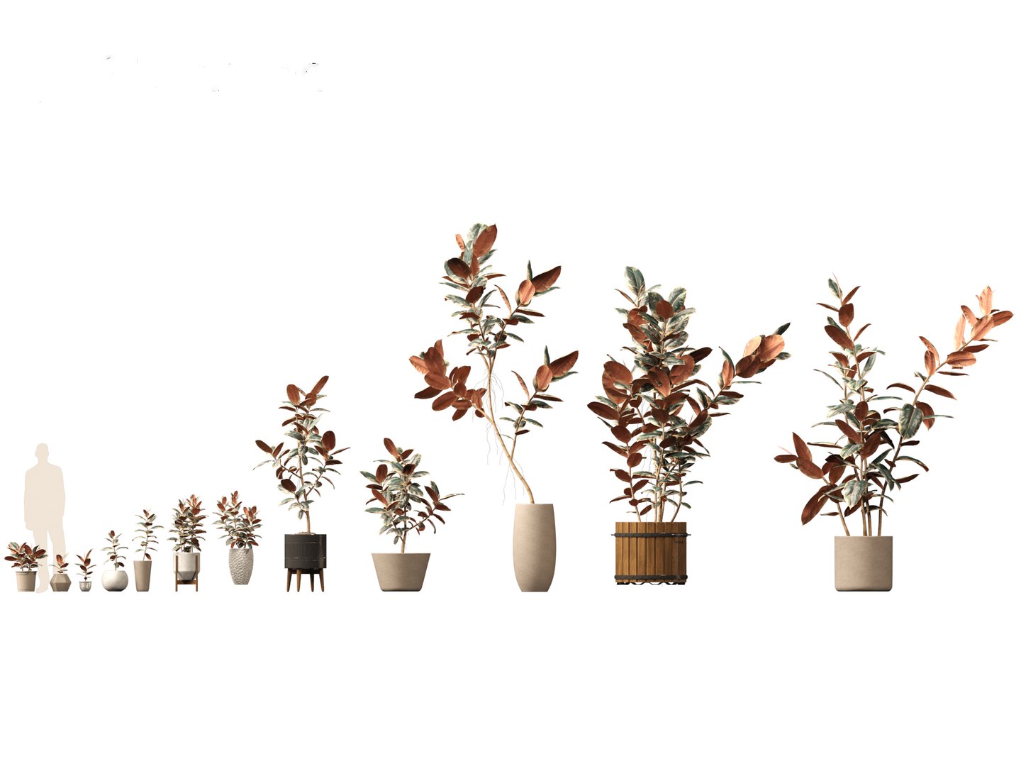 Large Potted Greenery Pack 40 3D https://p.turbosquid.com/ts-thumb/Pa/SLw5Db/w3/ficuselasticabelize011/jpg/1760061514/1920x1080/fit_q87/34ce45a3c975cb4917996fb2aa188686b469742b/ficuselasticabelize011.jpg