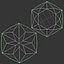 Fire Rose Hexagon Cut Diamond 3D model