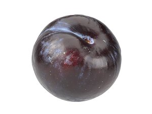 Highly Detailed Plum Scan