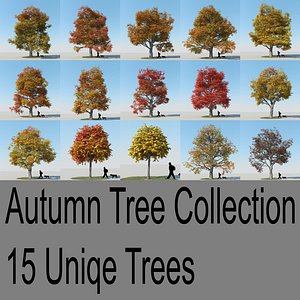 3d realistic maple trees autumn model