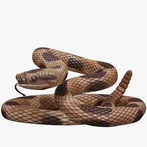 Python snake dark brown colour snake 3D model - TurboSquid 1958339