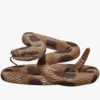 Rattlesnake Rigged