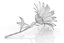 Fleur de camomille marguerite avec pétales