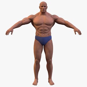 Bodybuilder Base Mesh