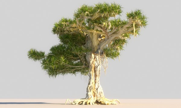 modelo 3d Dragon Tree Pack HD - TurboSquid 1392230