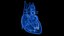 Human Heart Static