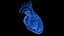 Human Heart Static