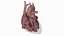 Human Heart Static