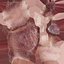 Human Heart Static