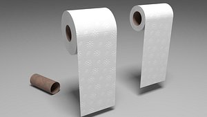 Toilet paper 3D