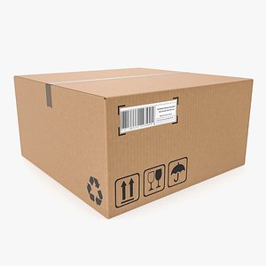 3D Cardboard box 13