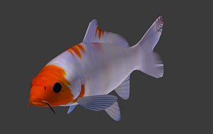 koi rigged 3D model