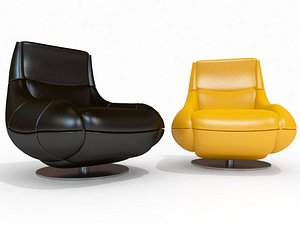 De Sede armchair DS-166