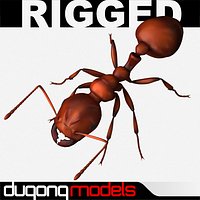 Fire Ant