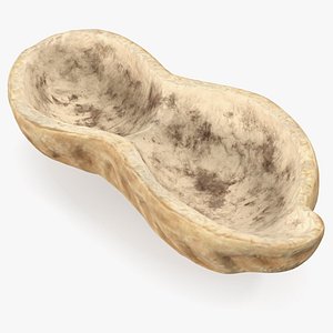 3D peanut peel nut model