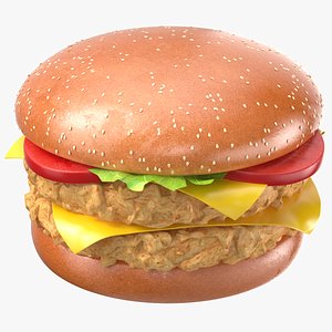 Detailed Chicken Burger Sandwich