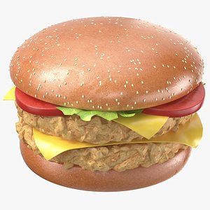 Detailed Chicken Burger Sandwich